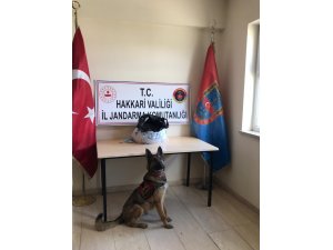 Ev aramasında 17 kilo 870 gram esrar ele geçirildi