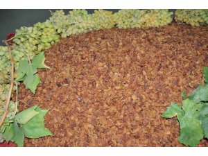 Üzüm üreticisine yaş ya da kuru tercihini erken yap çağrısı