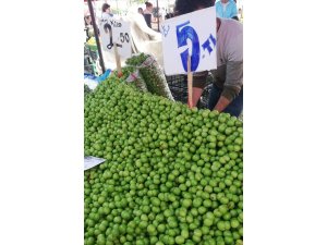 Eriğin ateşi düştü