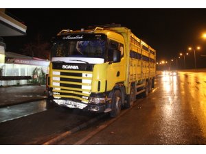 (Düzeltme) Otomobil tır ile çarpıştı, 3 yaşındaki Nisa hayatını kaybetti