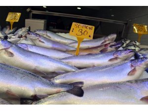 Av yasağının başlamasıyla Sinop’ta balık fiyatları yükseldi