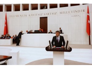 İYİ Parti Milletvekili Ataş çocuğa yönelik cinsel istismar konusunda meclis araştırması istedi
