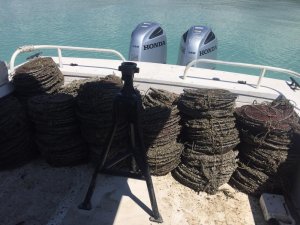Eğirdir Gölü’ndeki kaçak avcılara ceza yağdı