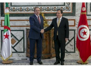 Libya'nın sınır komşularından ateşkes çağrısı