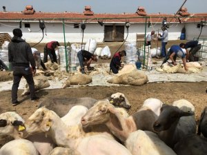 Öğrencilerin gözleri önünde elektrik akımına kapıldılar: 1 ölü, 1 yaralı