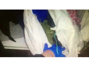 Adana’da yakalanan 3 torbacı tutuklandı
