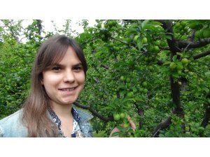 Silifke’de erik ihracatı üreticinin yüzünü güldürüyor