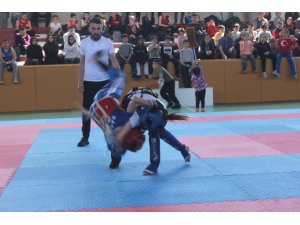 Karapınar'da Wushu Konya Bölge şampiyonası yapıldı