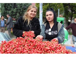 Ege yaz meyve sebze sektörü 2019 için 1 milyar dolarlık ihracat hedefi koydu