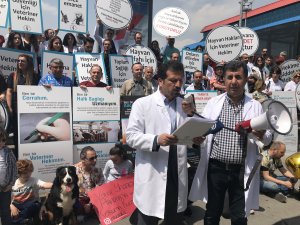 "Dünya Veteriner Hekimler Günü"