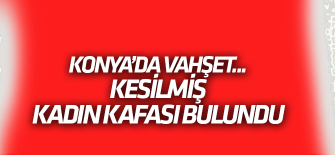 Konya'da kesik baş bulundu