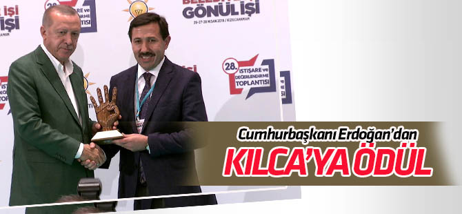 Cumhurbaşkanı Erdoğan'dan Hasan Kılca'ya ödül