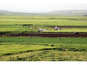 Serinlemek için girdiği derede boğuldu