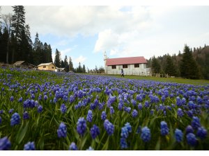 Batı Karadeniz yaylalarında iki mevsim güzelliği