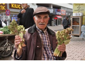 Doğunun Muzu "Işkın"da bereket