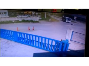 Yol ortasında duran köpeğin üzerinden minibüs geçti
