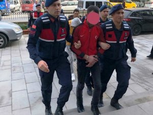 Çaldıkları 45 koyunu taşıyacak araç ararken yakalandılar