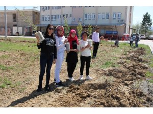 Yalıhüyük Anadolu Lisesi öğrencileri ağaç dikti