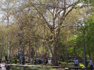 Başkent’in göbeğinde korku dolu anlar