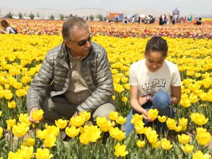 Vali Toprak, lale tarlasını ziyaret etti