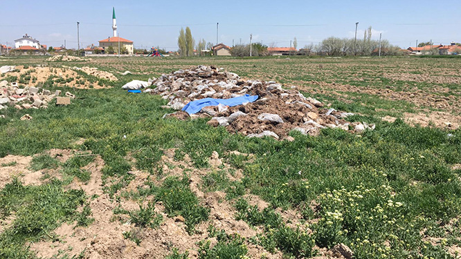 Konya'da mantar toplayan kişi arazide ölü bulundu
