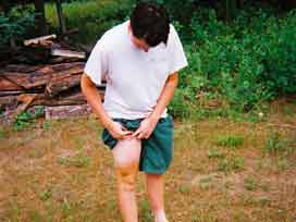 Varis erkelerin de sorunu