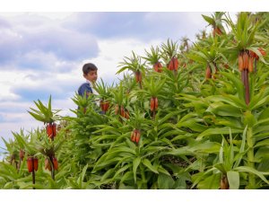 "Ağlayan gelin" görsel şölen sunuyor