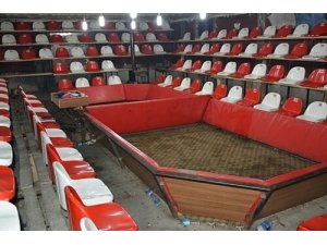 Horoz dövüşü için yapılan ring yetkilileri şaşırttı