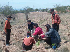 Çeltik'te 3 bin fidan dağıtıldı