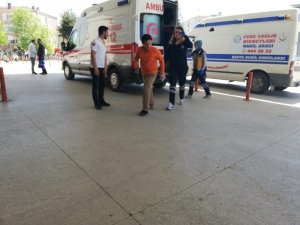 Başı boş köpeklerinin saldırısına uğradı