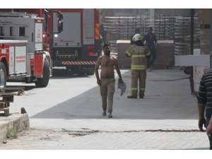 Bir kenti tedirgin eden yangın: Gökyüzü dumanlarla kaplandı