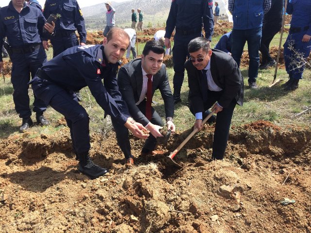 Bozkır'da fidan dikme etkinliği