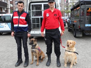 17 saatlik titiz çalışma mutlu sonla bitti