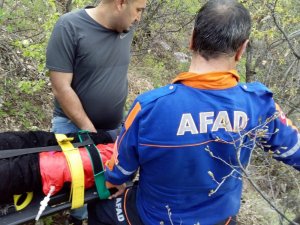 Işkın toplarken kayalıklardan düştü, 3 saatte kurtarıldı