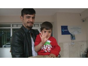 Kedinin peşinden gitmişler