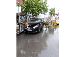 Başkent’te ağaç otomobilin üzerine devrildi