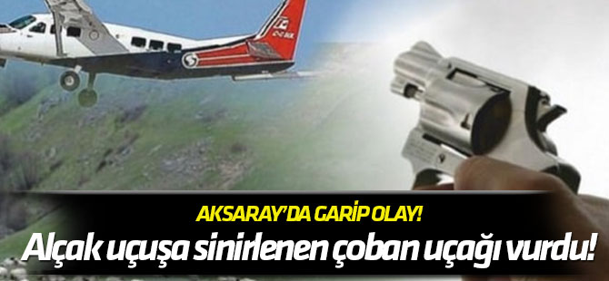 Sen misin koyunları ürküten... Alçak uçuşa sinirlenen çoban uçağı vurdu!