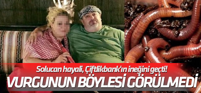 Vurgunun böylesi görülmedi Solucan hayali, Çiftlikbank'ın ineğini geçti!