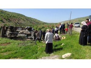 Kaza yapan araç 5 ağacı devirdikten sonra durabildi
