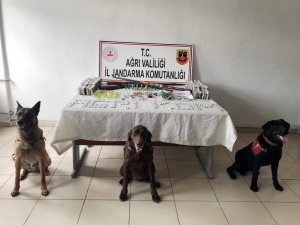 Ağrı’da uyuşturucu operasyonu: 18 gözaltı