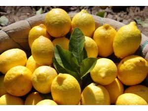 Mersin ve Adana’nın nisan ayı enflasyonu yüzde 21,52