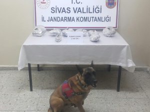Zula da ki uyuşturucusu Jandarma köpeği buldu