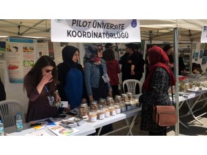 Pilot üniversite projeleri halka tanıtıldı