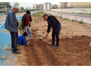 Vatandaşlardan yüksek fiyatlı sebzeye karşı çözüm
