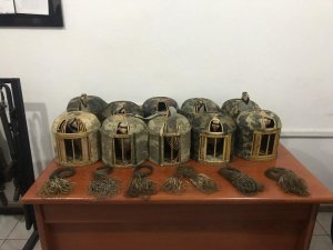 Jandarma kaçak avcılara göz açtırmıyor