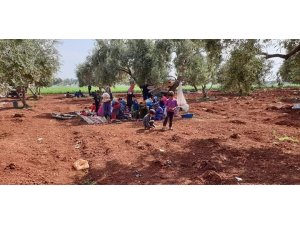 Yeniden yollara düşen Hama ve İdlib’deki mülteciler BM’yi göreve çağırdı