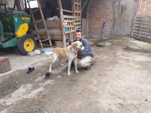 Canını kurtardığı köpeği sahiplendi