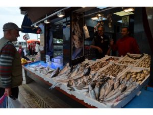 Trabzon’da denizden somon hasadı başladı