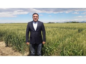 Doğru: "Buğdayın maliyeti bir yılda yüzde 55 arttı"