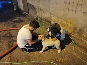 İki katlı işyeri alevlere teslim oldu